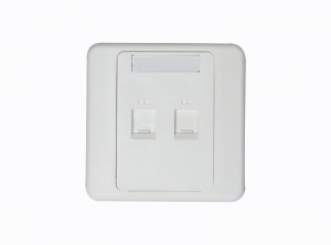 NETKEY系列雙口/四口面板